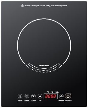 Built-In Induction Cooker